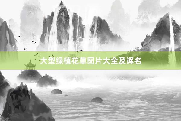 大型绿植花草图片大全及诨名